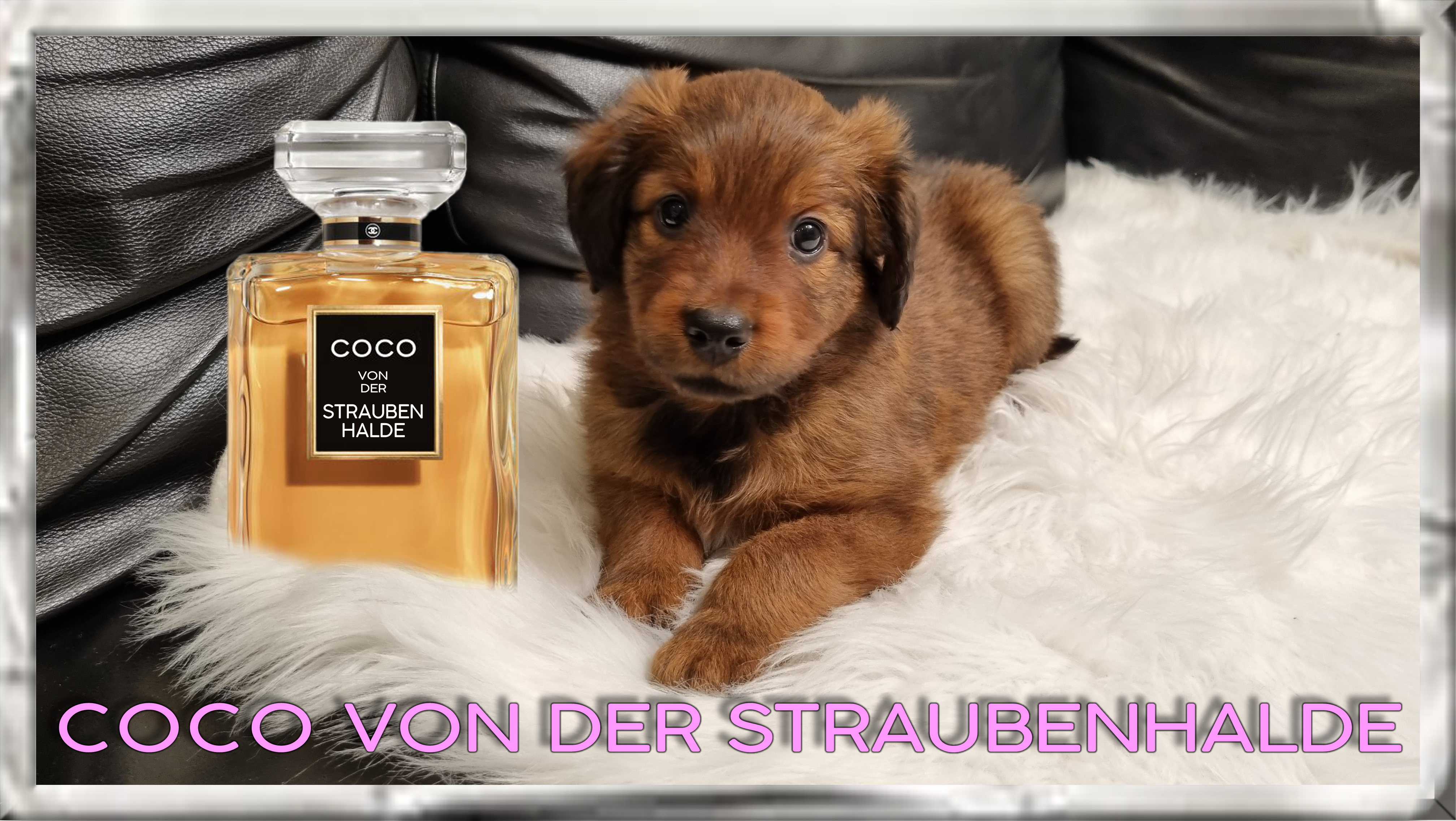 Wäller von der Straubenhalde